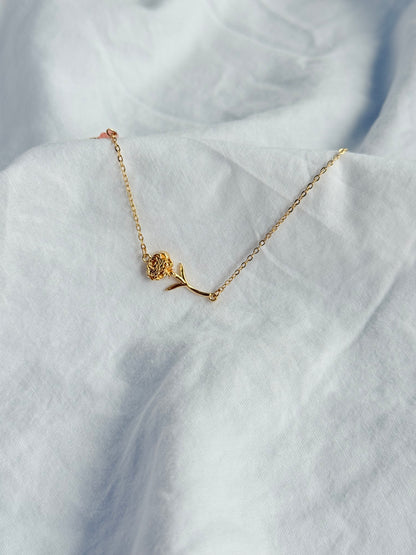 Golden Rose