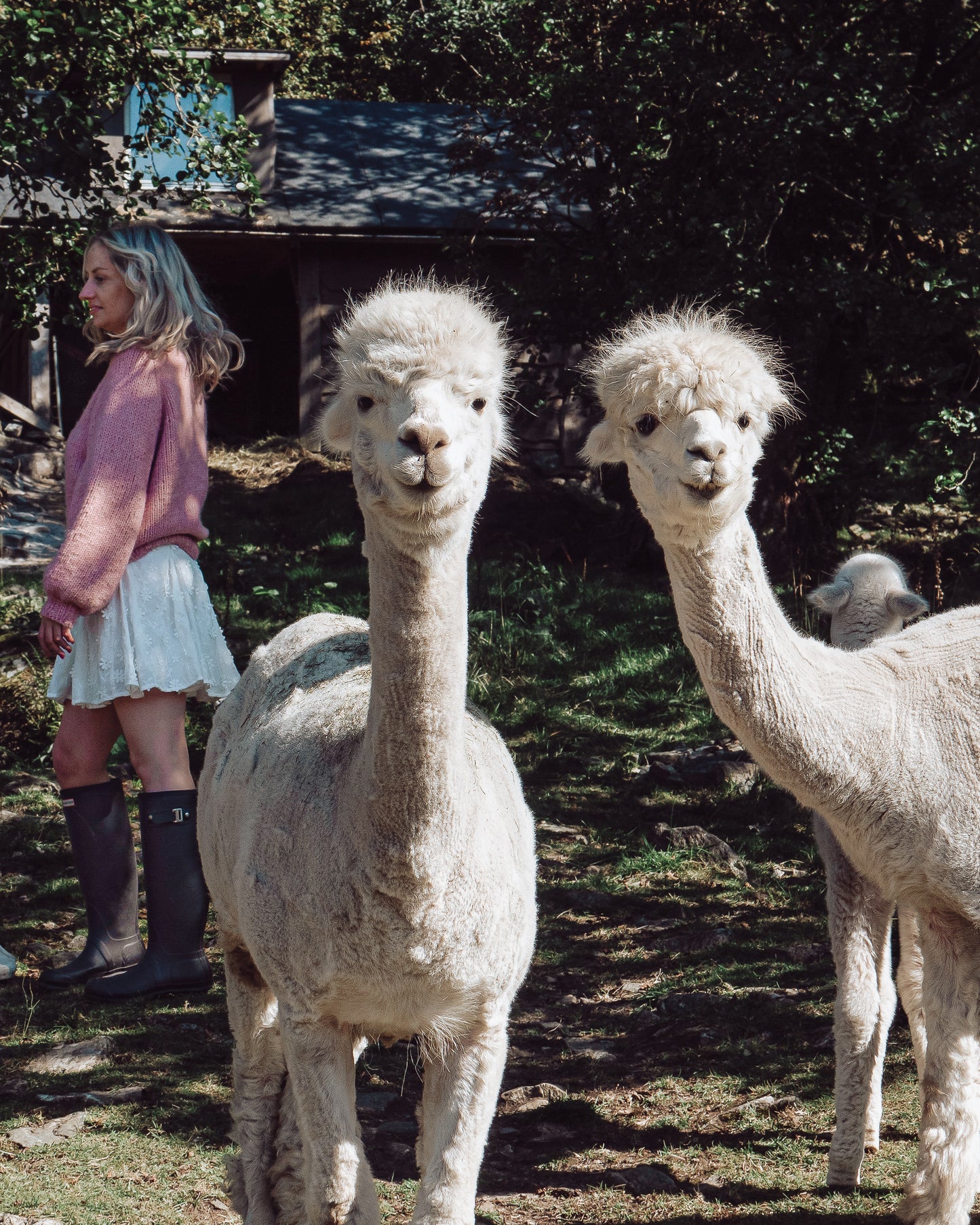 Snuggles Sweater ENGLISH