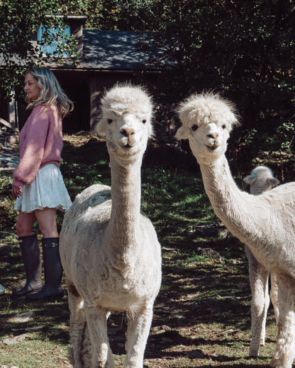 Snuggles Sweater ENGLISH